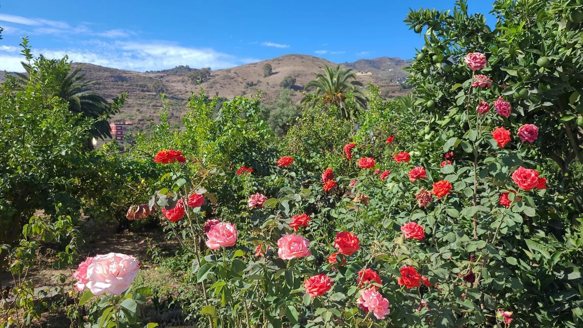 Casa Con Piscina, High-Speed Wi-Fi Y Vistas Villa Santa Brigida  Holiday home